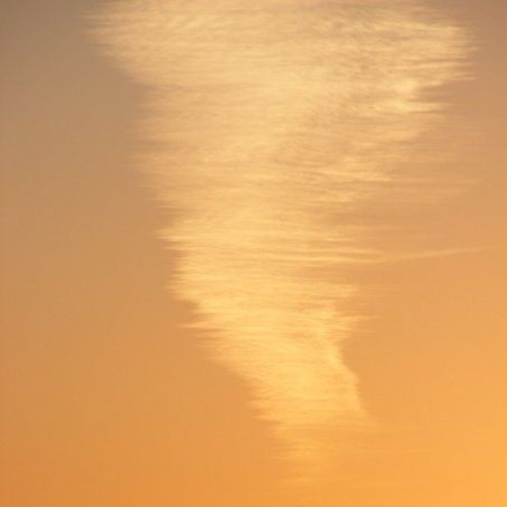 Meet your Posher, Francesca